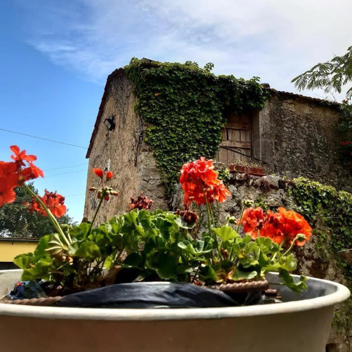Affittacamere Varone Montaquila Exteriér fotografie